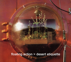 floating action desert etiquette